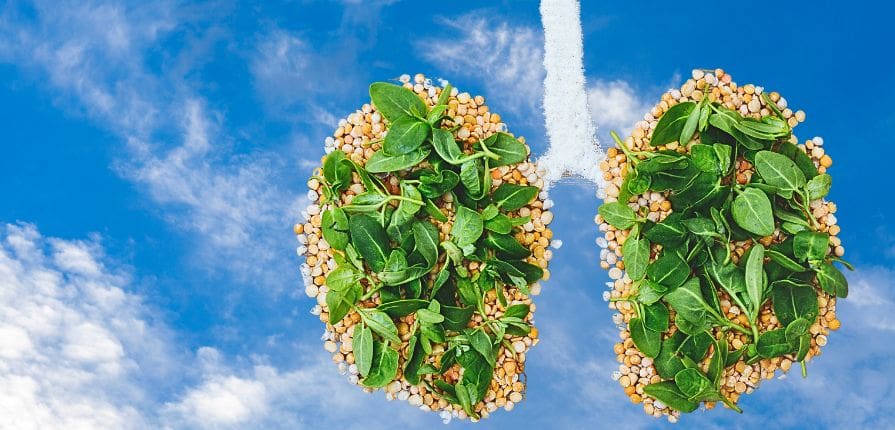 Clean Your Air Ducts, Save Your Lungs: The Ultimate Guide