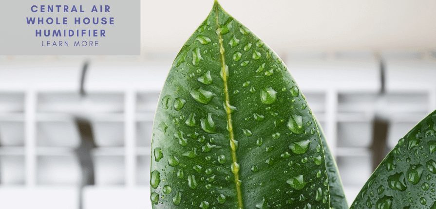 Whole house humidifier