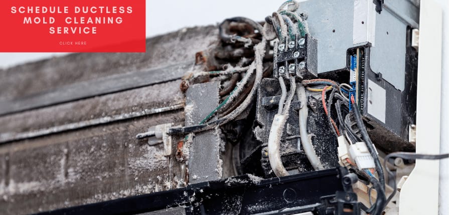 Schedule ductless minisplit mold prevention and cleaning